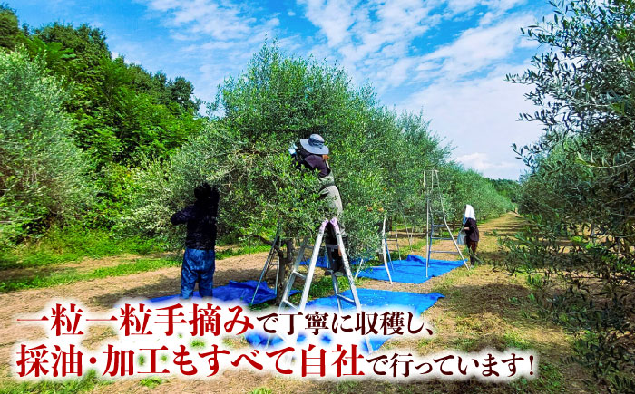 EXV オリーブオイル ピクアル種 130ml×1 / エクストラバージン オリーブ フルーティ 手摘み コールドプレス 調味料 油 熊本 菊陽町【こびらオリーブ園】 [BHBL002]