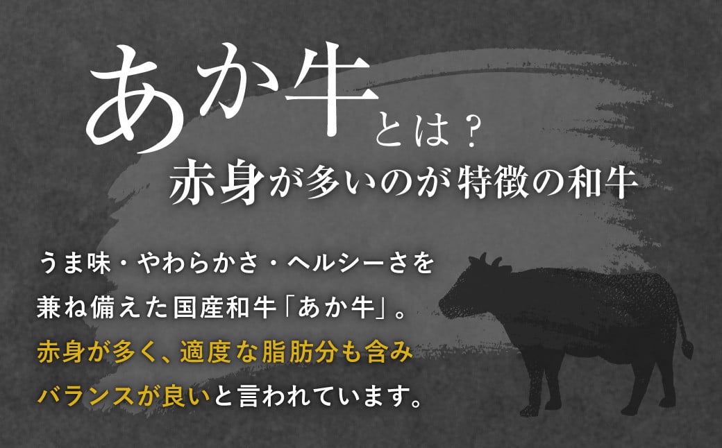 【定期便10ヶ月】 熊本県産 ステーキ用 あか牛 (ヒレ肉 600g ・ ロース肉 800g) 定期便 セット 牛肉 国産 赤牛 食べ比べ