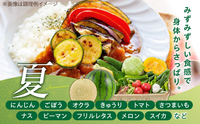 【全3回定期便】菊陽町特産品 「野菜・果物などの詰め合わせ」　 / 新鮮 詰合せ フルーツ セット 旬 おまかせ にんじん 直売所 やさい くだもの 熊本県 特産品 菊陽町【有限会社さんふれあ】 [BHAK007]