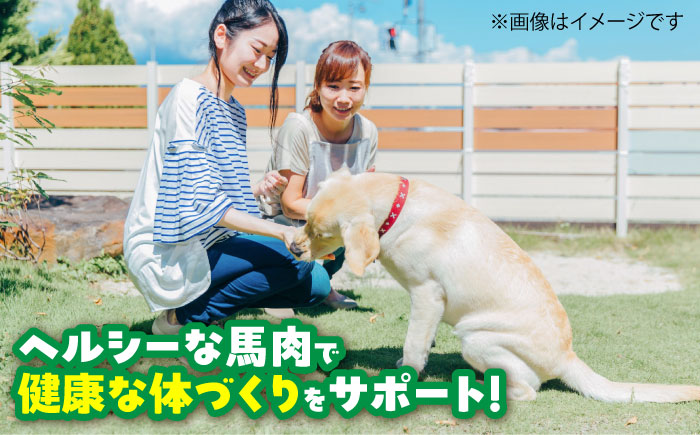 【全3回定期便】詰め合わせ 国内加工 ペット用 馬肉 切り落とし 約1kg ペット用 馬刺しジャーキー 約100g(約50g×2) / ペットフード ドッグフード 愛犬 馬肉【五右衛門フーズ】 [BHCY066]