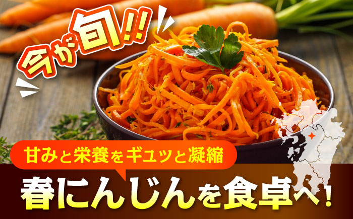 【数量限定】菊陽町の春にんじん(菊陽にんじん) 約3kg【有限会社さんふれあ】 [BHAK003]