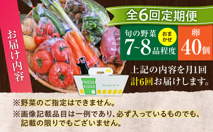 【全6回定期便】【新鮮たまごと旬の野菜セット(野菜7~8品程度＋40個) / たまご 生卵 タマゴ 詰合せ セット 熊本県 特産品【有限会社さんふれあ】 [BHAK010]