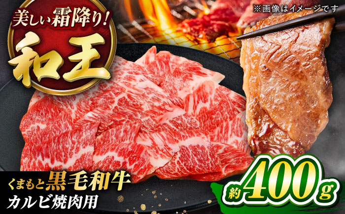 くまもと黒毛和牛 「和王」 カルビ焼肉用 約400g (約400g×1パック) / 牛肉 和王 黒毛和牛 肉 カルビ かるび 希少部位 熊本県 菊陽町【菊池地域農業協同組合】 [BHBQ002]