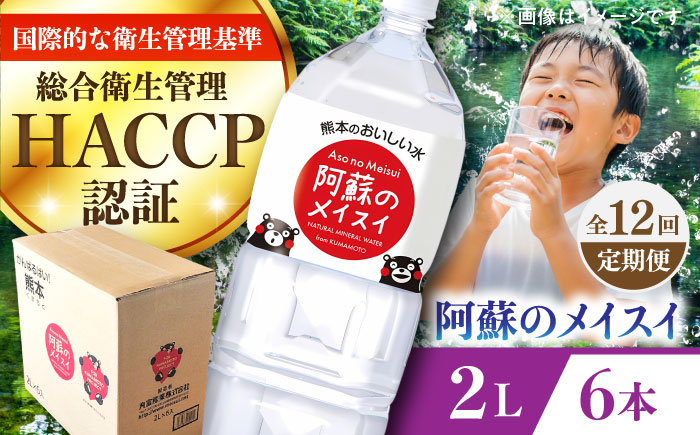 【全12回定期便】阿蘇のメイスイ 2L 6本×1ケース 天然水 水 ミネラルウォーター 備蓄 熊本 菊陽町 【丸富産業株式会社】 [BHDG026]