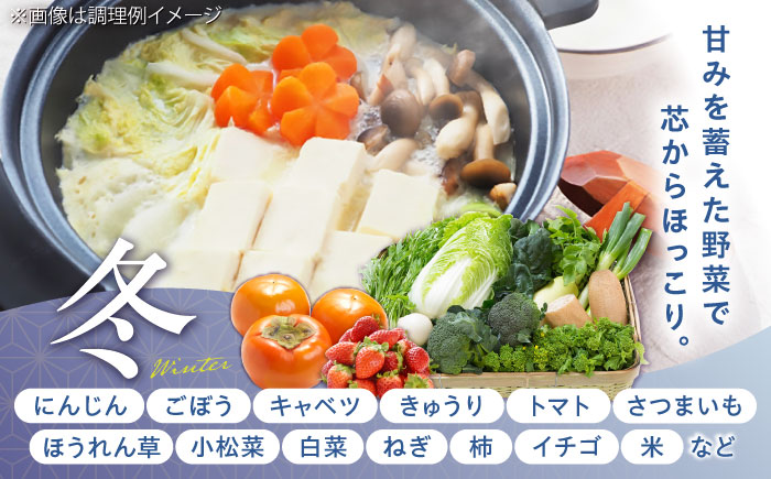 【全3回定期便】菊陽町特産品 「野菜・果物などの詰め合わせ」　 / 新鮮 詰合せ フルーツ セット 旬 おまかせ にんじん 直売所 やさい くだもの 熊本県 特産品 菊陽町【有限会社さんふれあ】 [BHAK007]