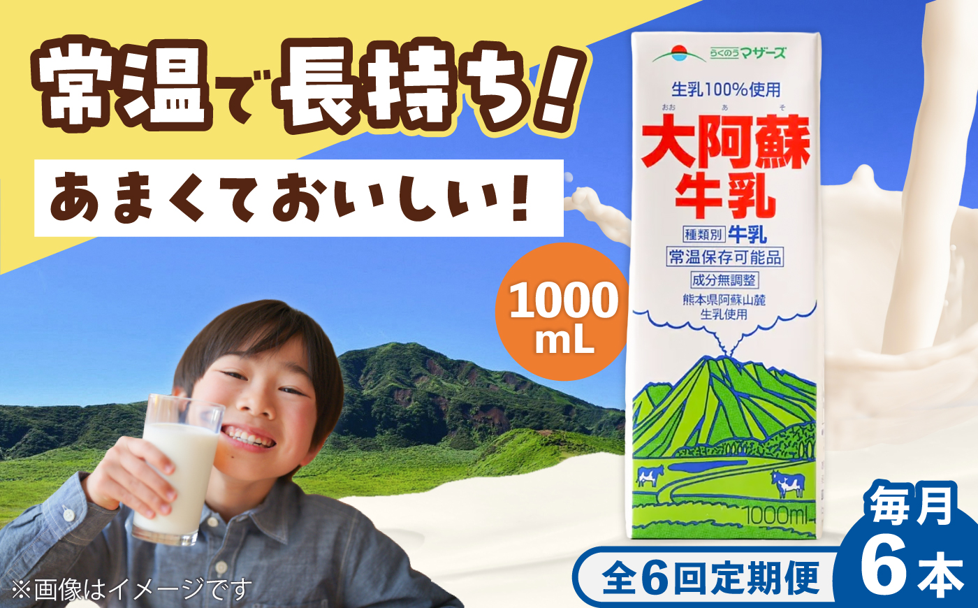 【全6回定期便】大阿蘇 牛乳 1000ml 紙パック(6本入) / 阿蘇 熊本 乳牛 生乳 牛乳 ミルク 無調整 自然 らくのう【合同会社 たべたせいか】 [BHBY025]