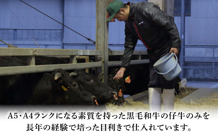 フジチク 藤彩牛 ロース 焼肉用 約800g 牛肉 黒毛和牛 国産【株式会社フジチク】 [BHAD118]