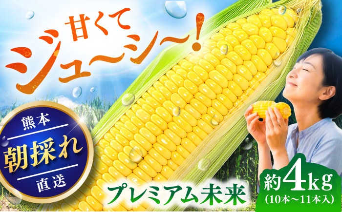 【先行予約】【2026年5月中旬より順次発送】スイートコーン(プレミアム未来) 約4kg（10～11本）【なかむら農園】 [BHCJ004]