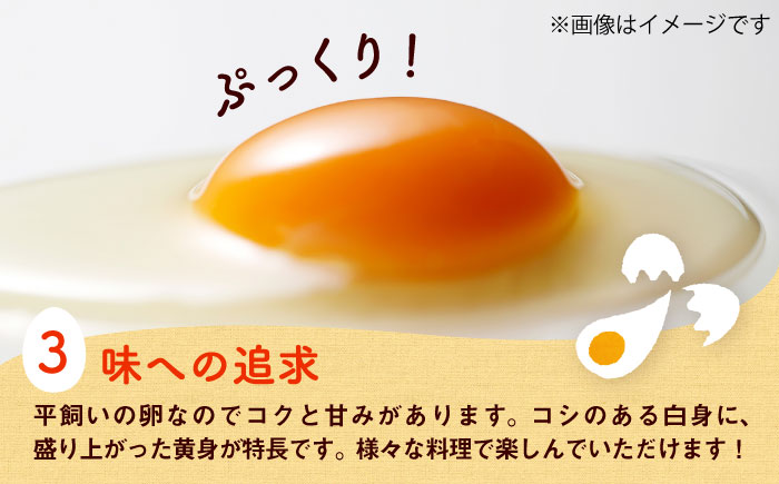 平飼い新鮮たまご 元気玉 計40個(10個×4パック) / 卵 ぷりぷり 新鮮 玉子 オムレツ たまごかけごはん 朝食 鶏卵 タンパク質 平飼い 濃厚 こく 熊本県 菊陽町【ぴよっこファーム】 [BHAP002]