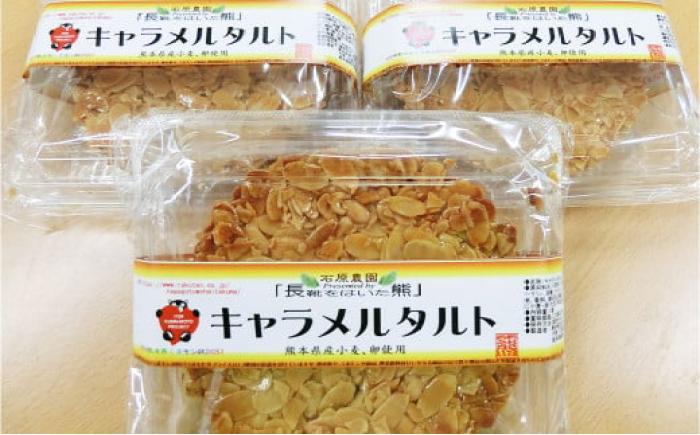 キャラメルタルト・木の実のフルーツケーキ(パウンドケーキ) 各1個 計2個セット【有限会社さんふれあ】 [BHAK015]