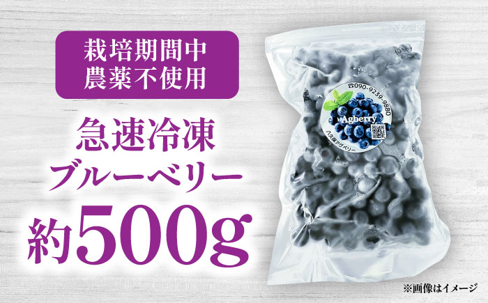 青い宝石 国産 急速冷凍ブルーベリー 約500g 果物 くだもの フルーツ ぶるーべりー 熊本県 菊陽町【アグファーム株式会社】 [BHCX004]