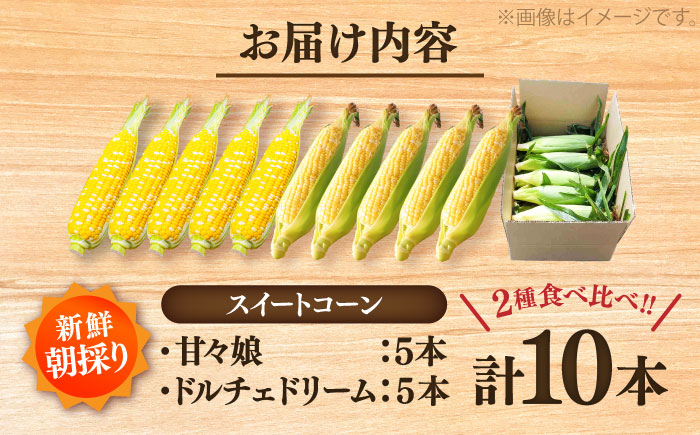 スイートコーン、ドルチェドリームと甘々娘の食べ比べセット【なかむら農園】 [BHCJ003]