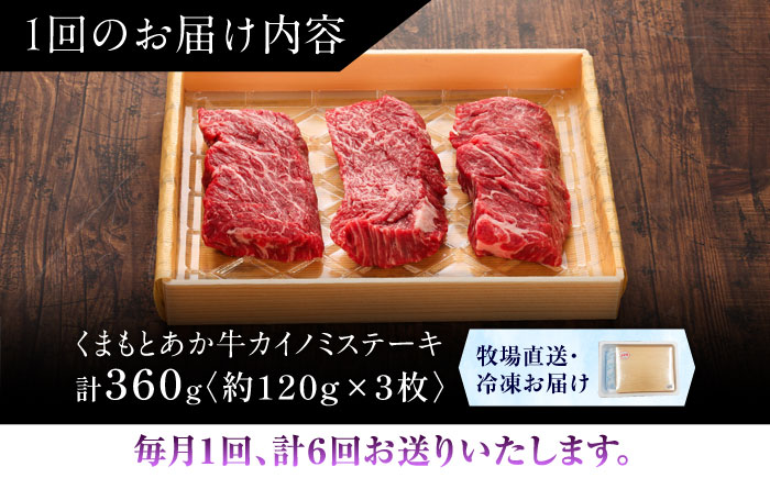 【全6回定期便】【GI認証】くまもとあか牛カイノミステーキ 約120g×3枚 / 菊陽町 あかうし 熊本県 肉 にく niku ブランド 旨み【有限会社 三協畜産】 [BHAS061]