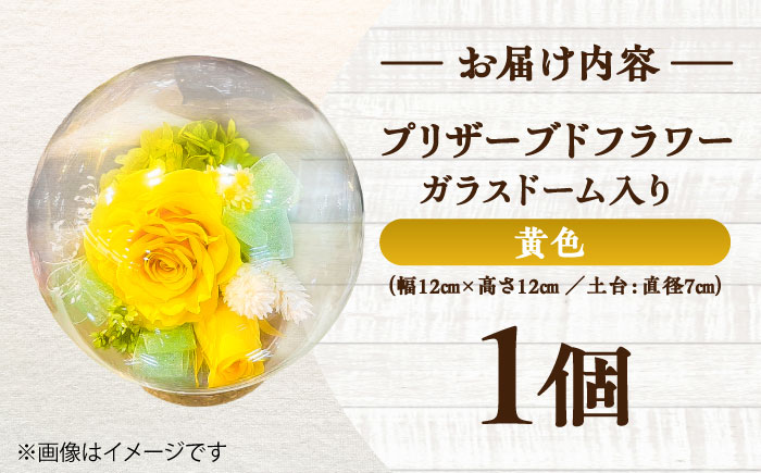 プリザーブドフラワー　ガラスドーム (黄色) / 花 プレゼント 贈答用 ガラス 母の日 父の日 入学式 卒業式 菊陽町 熊本県【株式会社 美向】 [BHDC003]