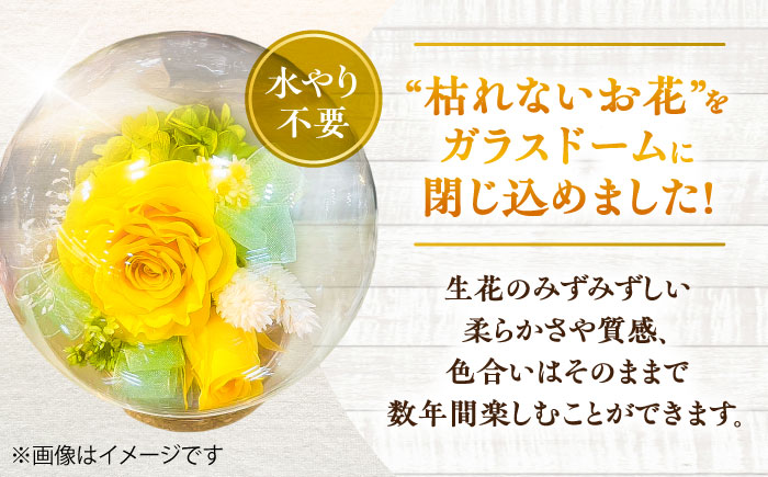 プリザーブドフラワー　ガラスドーム (黄色) / 花 プレゼント 贈答用 ガラス 母の日 父の日 入学式 卒業式 菊陽町 熊本県【株式会社 美向】 [BHDC003]