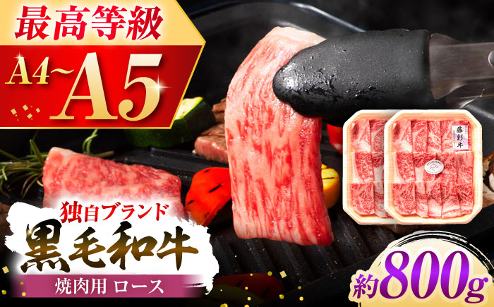 【年内発送は12月11日ご入金分まで！】フジチク 藤彩牛 ロース 焼肉用 約800g 牛肉 黒毛和牛 国産【株式会社フジチク】 [BHAD118]