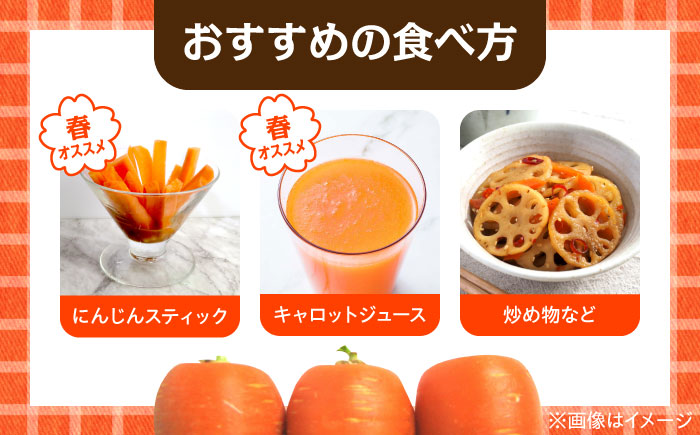 【数量限定】菊陽町の春にんじん 約10kg【有限会社さんふれあ】 [BHAK004]