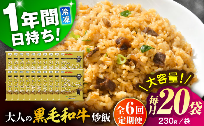 【全6回定期便】熊本県産 こだわり炒飯 大人の黒毛和牛 炒飯 230g×20袋 合計4.6kg【ユーユーフーズ株式会社】 [BHCS022]