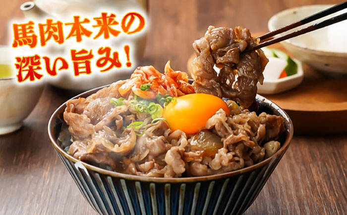 【全3回定期便】馬小間切り落とし 約1kg (約500g × 2パック) / 馬肉 こま切れ きりおとし 切落とし 馬小間 熊本 馬肉 切り落とし ヘルシー【五右衛門フーズ】 [BHCY038]