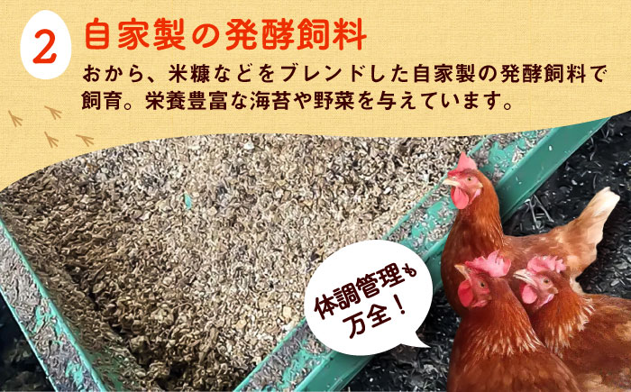 平飼い新鮮たまご 元気玉 計40個(10個×4パック) / 卵 ぷりぷり 新鮮 玉子 オムレツ たまごかけごはん 朝食 鶏卵 タンパク質 平飼い 濃厚 こく 熊本県 菊陽町【ぴよっこファーム】 [BHAP002]