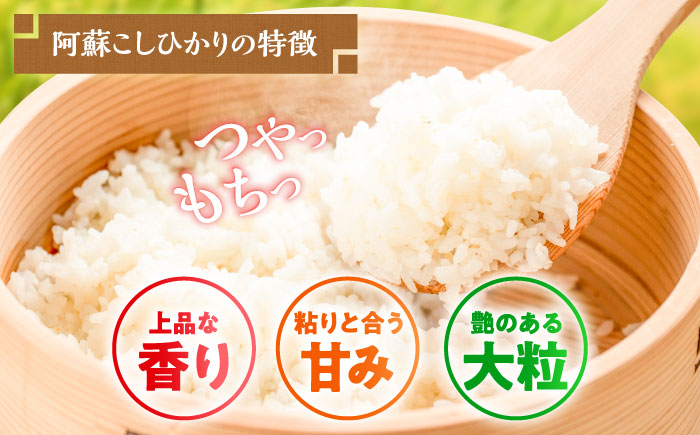 【令和7年産】熊本県産 阿蘇コシヒカリ 5kg【熊本パールライス株式会社】 [BHBP001]
