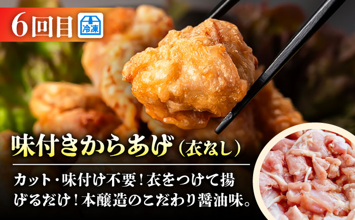 【菊陽町よりすぐり6回定期便】 菊陽町の人気の返礼品が毎月届く！ / 肉 馬刺し 馬肉 赤身 ハンバーグ 味噌 ラーメン [BHZZ008]