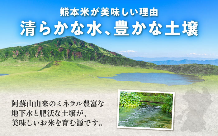 【令和7年産】熊本県産 阿蘇コシヒカリ 5kg【熊本パールライス株式会社】 [BHBP001]