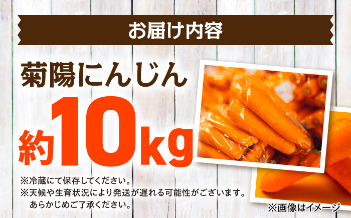 【数量限定】菊陽町の春にんじん 約10kg【有限会社さんふれあ】 [BHAK004]