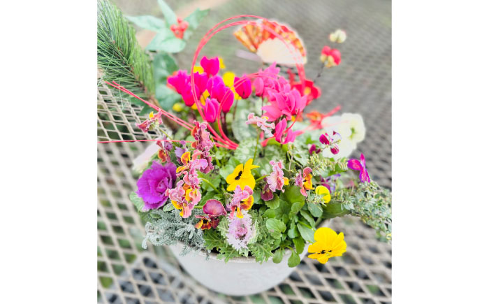 新年を華やかに彩る お正月の寄せ植え(おまかせ) / 正月飾り 花苗 鉢 ピック【GreenlifeYoshimura】 [BHBG001]