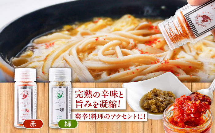 【先行予約】【2026年6月下旬順次発送開始】ハラペーニョの一味セット / ハラペーニョ 青唐辛子 完熟 唐辛子 一味唐辛子 調味料 2種 セット　熊本県 菊陽町【こびらオリーブ園】 [BHBL006]