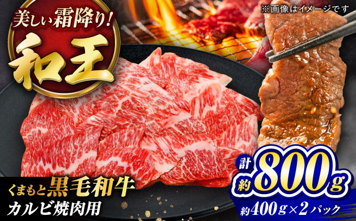 くまもと黒毛和牛 ｢和王｣ カルビ焼肉用 計約800g (約400g×2パック) / 牛肉 和王 黒毛和牛 肉 カルビ かるび 希少部位 熊本県 菊陽町【菊池地域農業協同組合】 [BHBQ011]