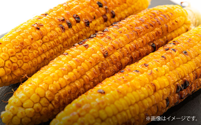 【先行予約】【2026年6月上旬より順次発送】スイートコーン(甘々娘) 約4kg（10〜11本）【なかむら農園】 [BHCJ001]