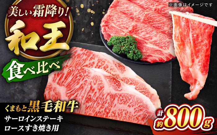くまもと黒毛和牛 「和王」　サーロインステーキ ・ 「和王」　ロース すきやき用 食べ比べセット 計約800g / 牛肉 和王 黒毛和牛 サーロイン ロース 熊本県 菊陽町 【菊池地域農業協同組合】 [BHBQ006]