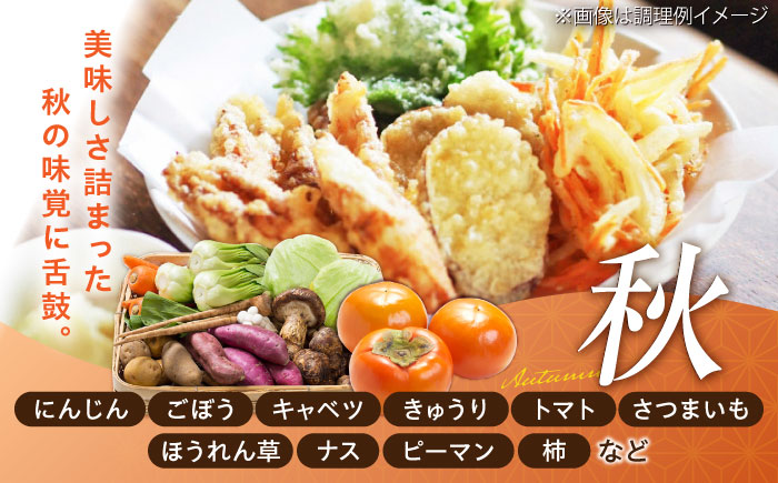 【全3回定期便】菊陽町特産品 「野菜・果物などの詰め合わせ」　 / 新鮮 詰合せ フルーツ セット 旬 おまかせ にんじん 直売所 やさい くだもの 熊本県 特産品 菊陽町【有限会社さんふれあ】 [BHAK007]