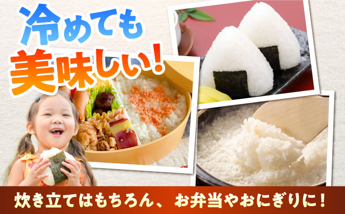 【令和7年度産】 森のくまさん 5kg【熊本パールライス株式会社】 [BHBP003]