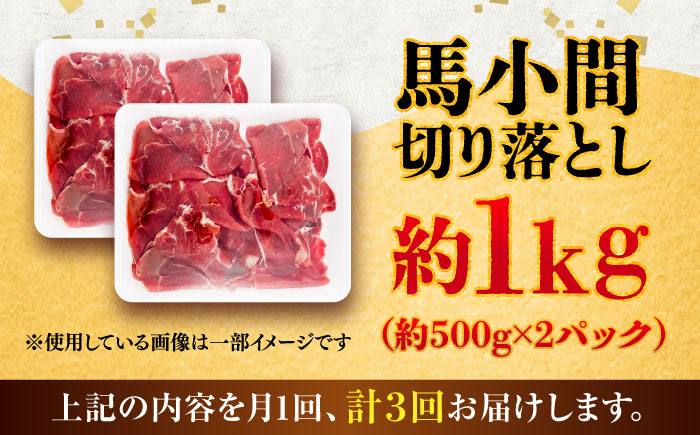 【全3回定期便】馬小間切り落とし 約1kg (約500g × 2パック) / 馬肉 こま切れ きりおとし 切落とし 馬小間 熊本 馬肉 切り落とし ヘルシー【五右衛門フーズ】 [BHCY038]