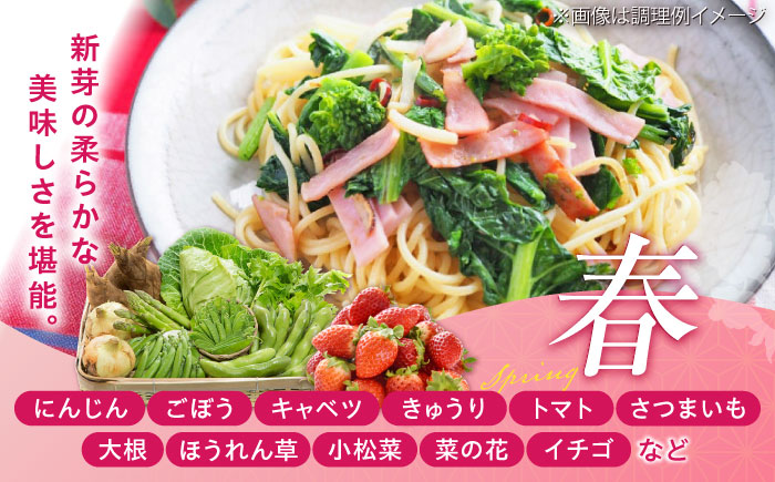 【全3回定期便】菊陽町特産品 「野菜・果物などの詰め合わせ」　 / 新鮮 詰合せ フルーツ セット 旬 おまかせ にんじん 直売所 やさい くだもの 熊本県 特産品 菊陽町【有限会社さんふれあ】 [BHAK007]