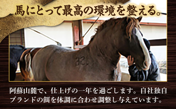 【全3回定期便】「フジチク」ユッケ2種の贅沢食べ比べセット【株式会社フジチク】 [BHAD113]