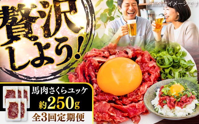 【全3回定期便】馬肉さくらユッケ 約250g(約50g×5パック) / 馬肉 ユッケ 馬刺しユッケ 小分け 生食用 熊本肥育 桜ユッケ 馬刺し 熊本県 おつまみ 晩酌 菊陽町【五右衛門フーズ】 [BHCY030]
