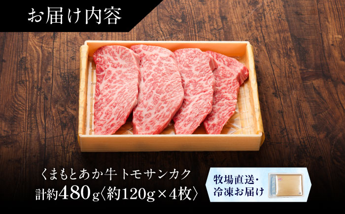 【GI認証】くまもとあか牛トモサンカク 約120g×4枚 / 菊陽町 あかうし 熊本県 肉 にく niku ブランド 旨み 【有限会社 三協畜産】 [BHAS016]