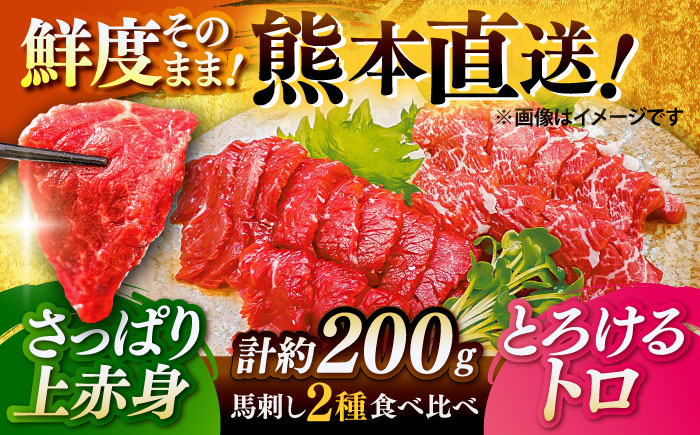 こだわり馬刺し2点盛り 各100g（醤油・生姜付き）計200g / 馬肉 上赤身 トロ セット ばさし 醤油付き 菊陽町 熊本県 特産品 【有限会社菊陽食肉センター】 [BHAC001]