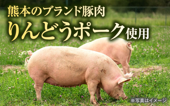 熊本県産 こだわり炒飯 りんどうポークの とんこつ風 炒飯 230g×20袋 合計4.6kg 【ユーユーフーズ株式会社】[BHCS010]