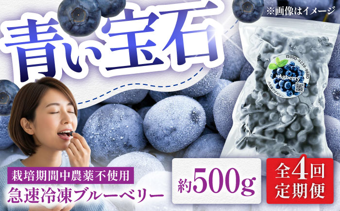 【全4回定期便】青い宝石 国産 急速冷凍ブルーベリー 約500g 果物 くだもの フルーツ ぶるーべりー 熊本県 菊陽町【アグファーム株式会社】 [BHCX009]