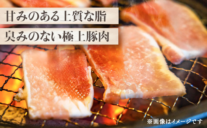 【香心ポーク】焼肉用モモ 約750g(250g×3パック)【有限会社コーシン】 [BHAH005]
