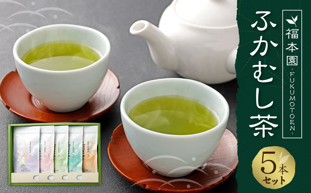 ふかむし茶 5本 セット 計500g ／ お茶 緑茶 茶葉 厳選 熊本県 特産品