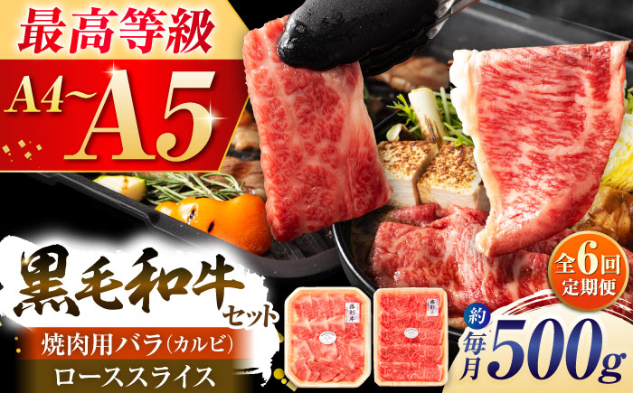 【全6回定期便】くまもと黒毛和牛「藤彩牛」2種の食べ比べ計500g 3900【株式会社フジチク】 [BHAD037]