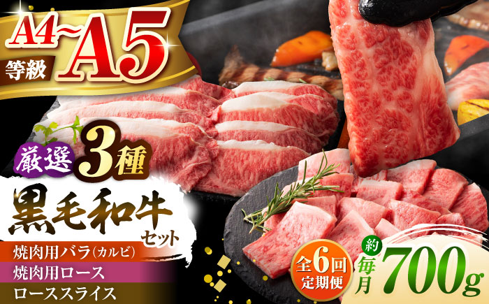 【全6回定期便】くまもと黒毛和牛「藤彩牛」厳選3種の食べ比べ計700g 3902【株式会社フジチク】 [BHAD043]