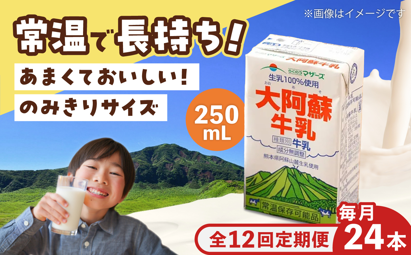【全12回定期便】大阿蘇 牛乳 250ml(24本入り) / 阿蘇 熊本 乳牛 生乳 牛乳 ミルク 無調整 自然 らくのう 【合同会社 たべたせいか】 [BHBY024]