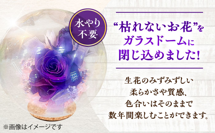 プリザーブドフラワー　ガラスドーム (紫) / 花 プレゼント 贈答用 ガラス 母の日 父の日 入学式 卒業式 菊陽町 熊本県【株式会社 美向】 [BHDC005]