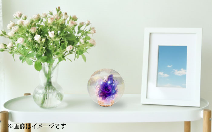 プリザーブドフラワー　ガラスドーム (紫) / 花 プレゼント 贈答用 ガラス 母の日 父の日 入学式 卒業式 菊陽町 熊本県【株式会社 美向】 [BHDC005]